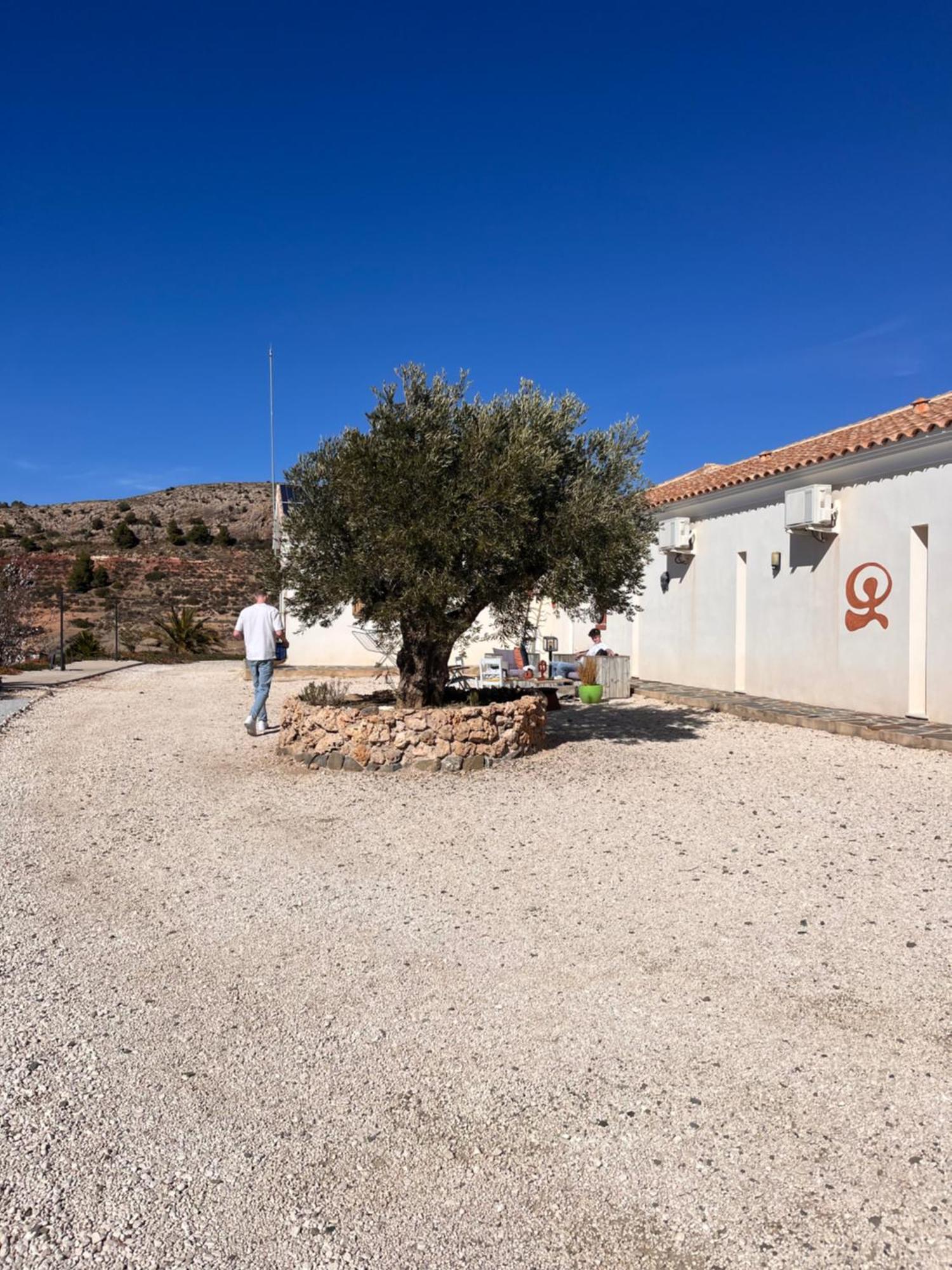Fuensanta Casa Lamberdina住宿加早餐旅馆 外观 照片